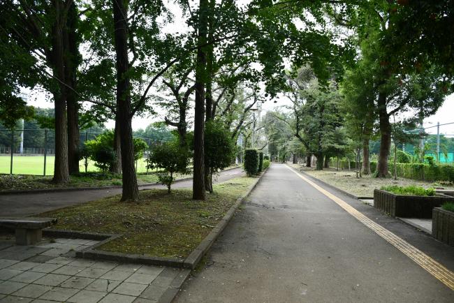 中央公園