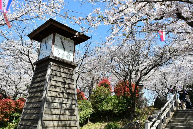 飛鳥山公園02