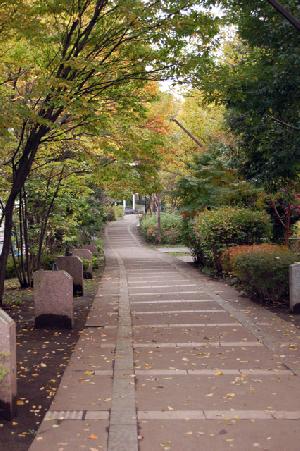 赤羽緑道公園の写真