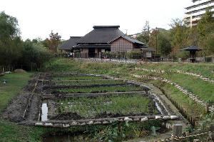 赤羽自然観察公園の写真