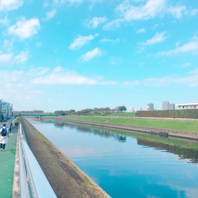 河川敷の写真