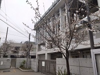 060404_sakura01.jpg