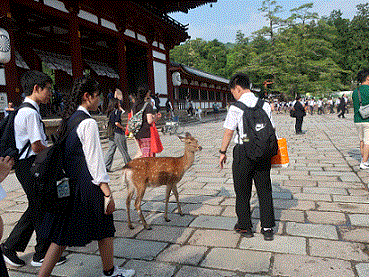 修学旅行１