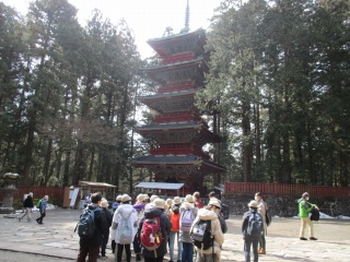 nikko1