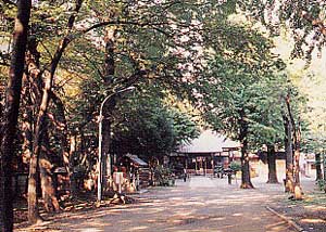 平塚神社の写真