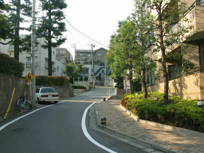 北区の坂道 真正寺坂の写真