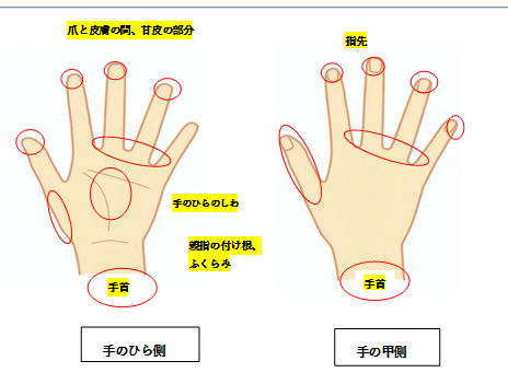 洗い残しの多い場所