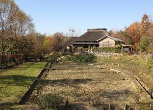 赤羽自然観察公園