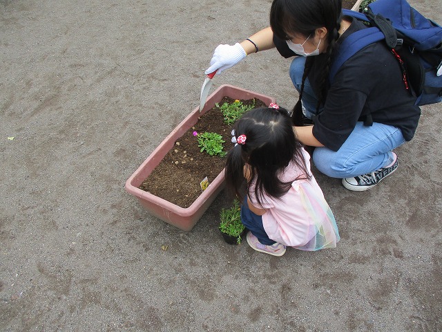 花植え