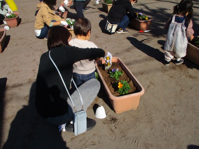 花植え