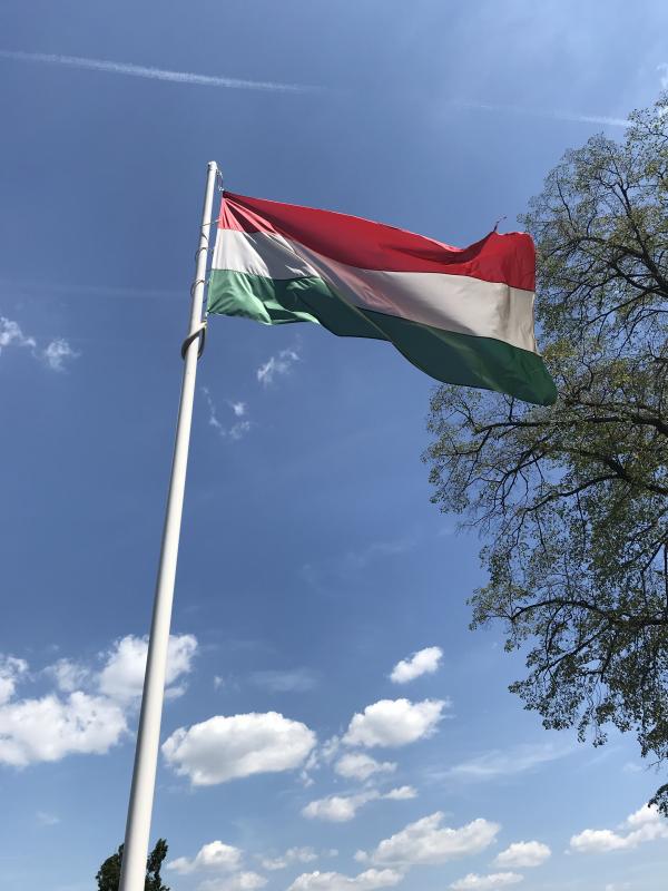 hungary_kokki