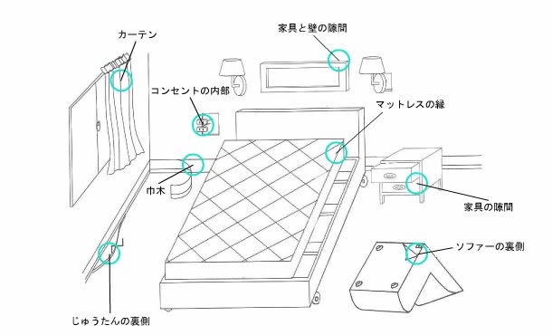 トコジラミ発見方法