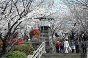 飛鳥山公園の様子